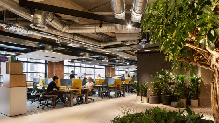 The design of OSF' offices with a holistic approach to wellbeing throughout the scheme