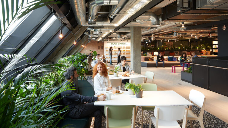 The design of OSF' offices with a holistic approach to wellbeing throughout the scheme